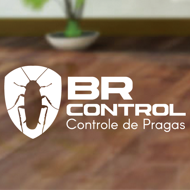 BR CONTROL CONTROLE DE PRAGAS - São Leopoldo, RS