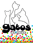 GATOS DA NOITE - Santos, SP