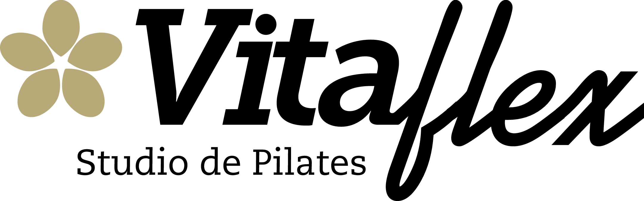 VITAFLEX STUDIO DE PILATES - Rio de Janeiro, RJ